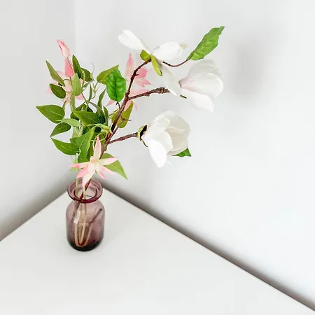 The Anchors Rest * Durrës