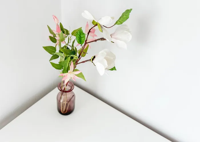 The Anchors Rest * Дуррес